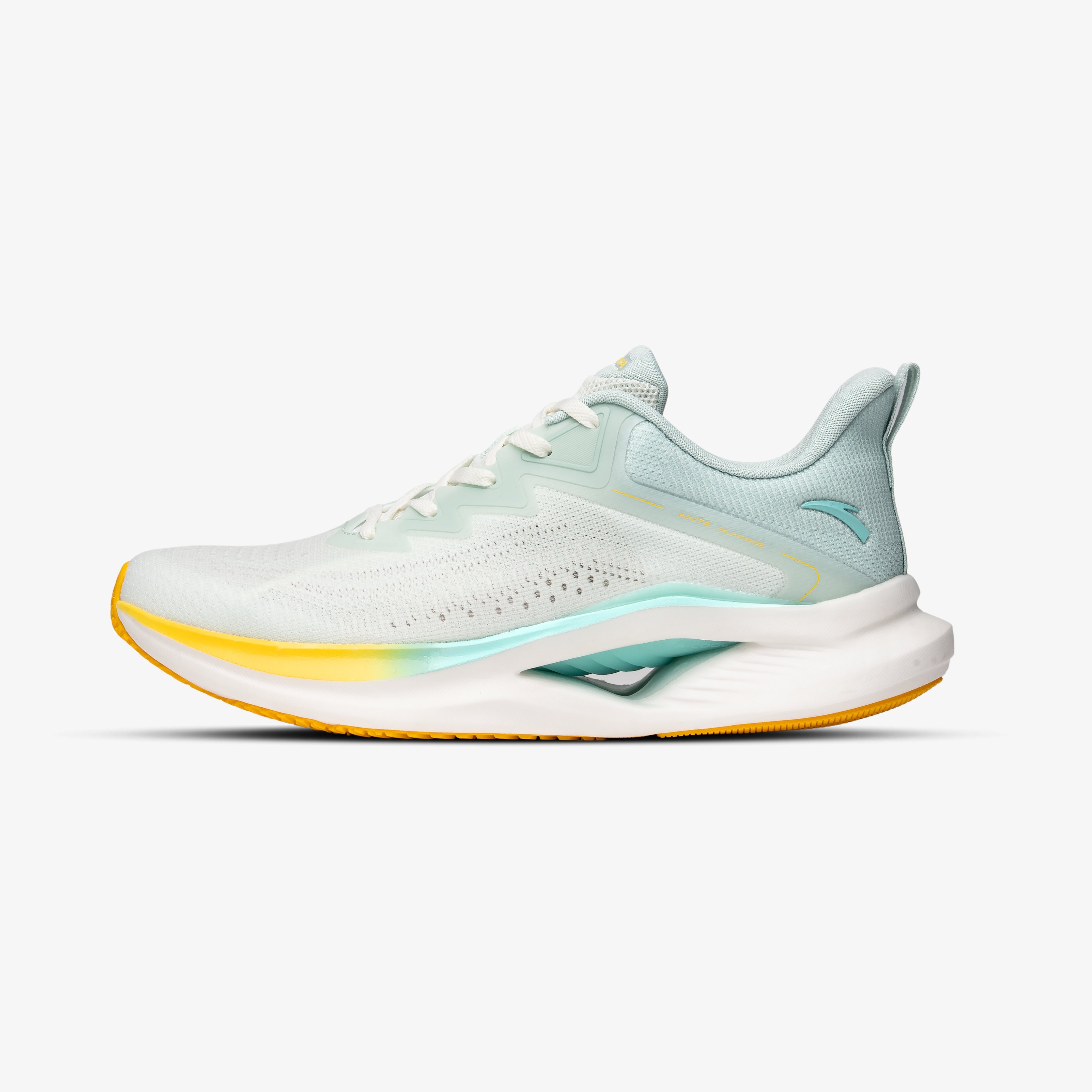 ANTA WINDSWEEPER